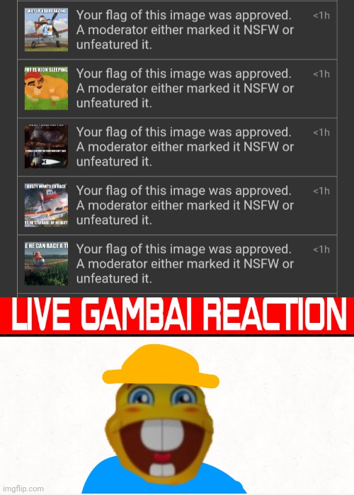 image tagged in live gambai reaction | made w/ Imgflip meme maker