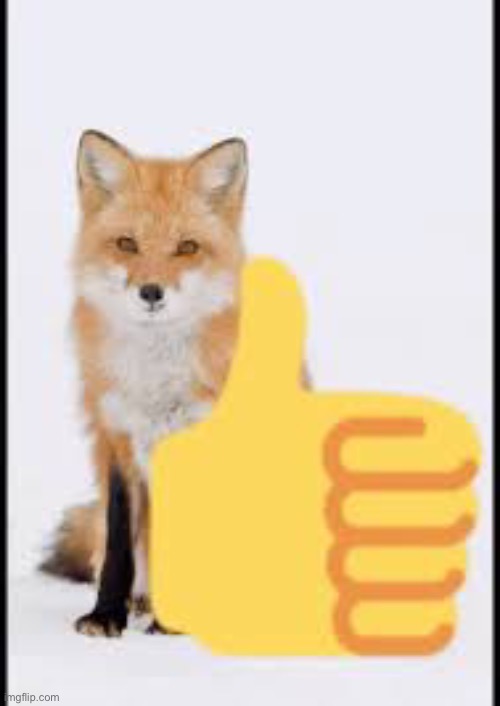 Fox thumbs up | image tagged in fox thumbs up | made w/ Imgflip meme maker