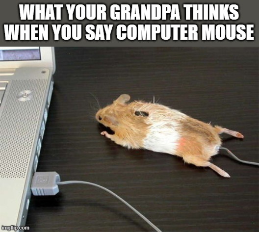 Grandpas bro | WHAT YOUR GRANDPA THINKS WHEN YOU SAY COMPUTER MOUSE | image tagged in funny,imgflip | made w/ Imgflip meme maker