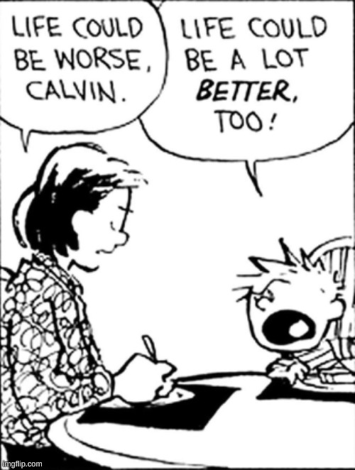 Somehow I'm both sides of this conversation. | image tagged in calvin and hobbes | made w/ Imgflip meme maker
