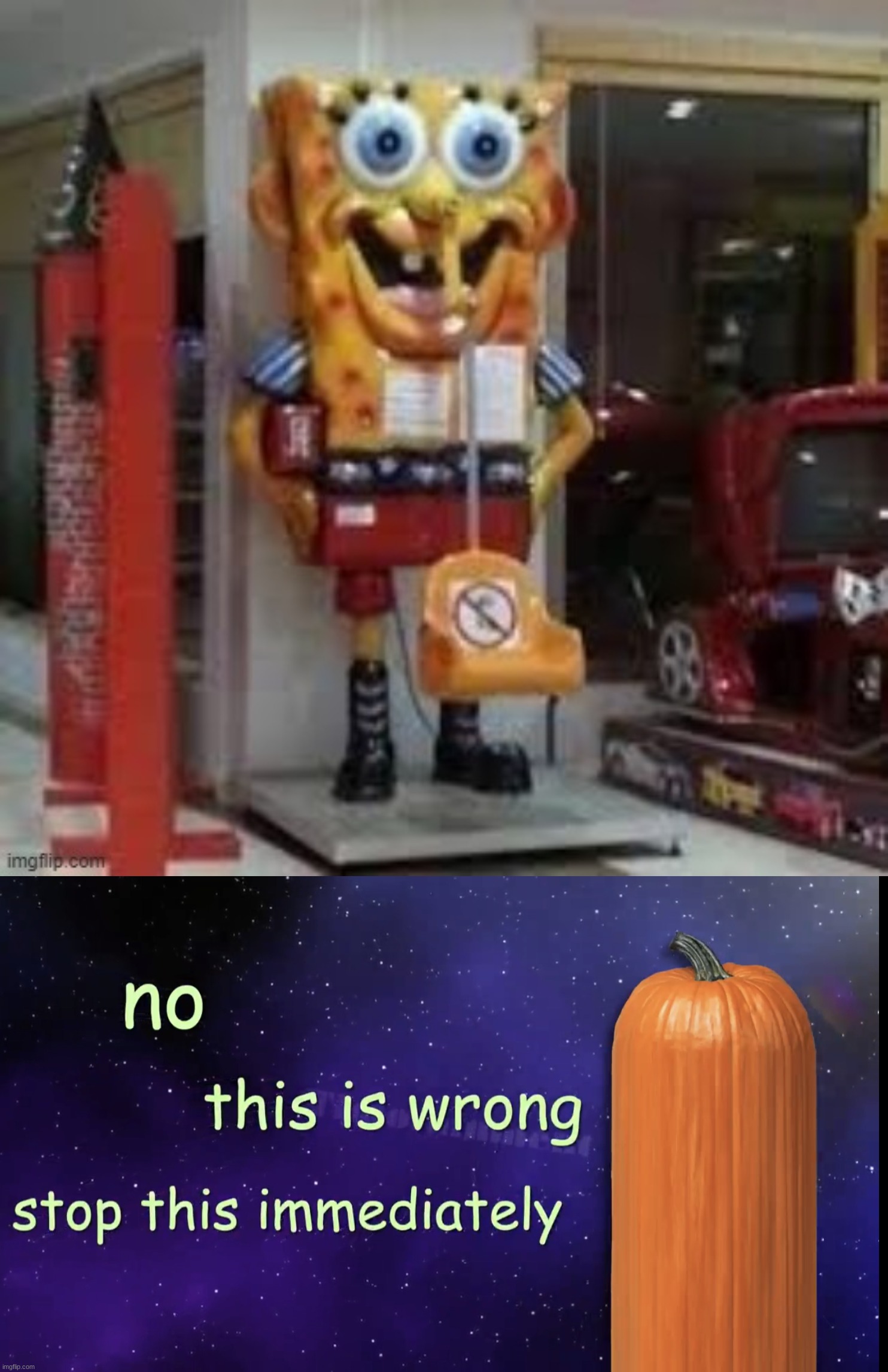 image tagged in pumpkin facts,memes,funny,cursed image | made w/ Imgflip meme maker