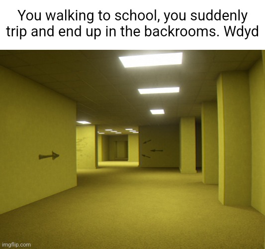 You walking to school, you suddenly trip and end up in the backrooms. Wdyd | made w/ Imgflip meme maker
