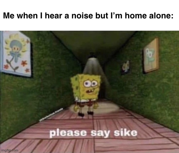PLEASE SAY SIKE. | Me when I hear a noise but I’m home alone: | image tagged in stop reading the tags,why are you reading this | made w/ Imgflip meme maker
