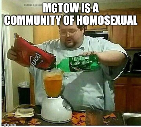 Homosexual | MGTOW IS A COMMUNITY OF HOMOSEXUAL | image tagged in blender man man with blender | made w/ Imgflip meme maker