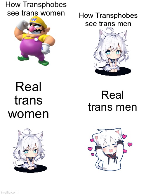 Their stereotypes always look like wario | How Transphobes see trans women; How Transphobes see trans men; Real trans women; Real trans men | image tagged in trans,transgender,trans men are real men,trans women are real women | made w/ Imgflip meme maker