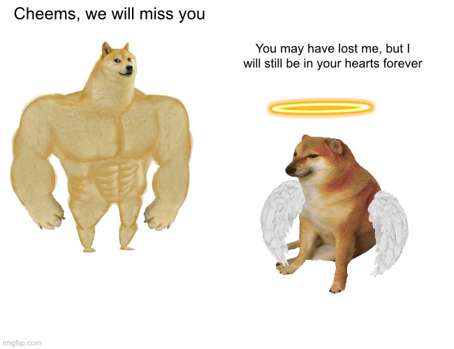 Buff Doge vs. Cheems Meme | Cheems, we will miss you; You may have lost me, but I will still be in your hearts forever | image tagged in memes,buff doge vs cheems | made w/ Imgflip meme maker