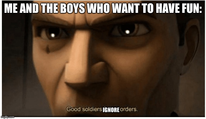 Good soldiers follow orders | ME AND THE BOYS WHO WANT TO HAVE FUN: IGNORE | image tagged in good soldiers follow orders | made w/ Imgflip meme maker