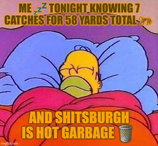 Homer Simpson sleeping peacefully | ME 💤 TONIGHT KNOWING 7 CATCHES FOR 58 YARDS TOTAL 🐅; AND SHITSBURGH IS HOT GARBAGE 🗑 | image tagged in homer simpson sleeping peacefully | made w/ Imgflip meme maker