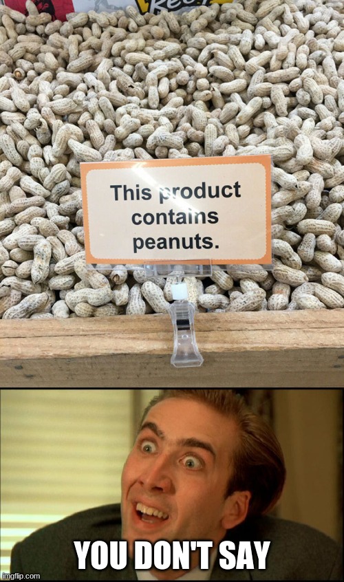 People are dumb these days... | YOU DON'T SAY | image tagged in you don't say - nicholas cage,meme | made w/ Imgflip meme maker