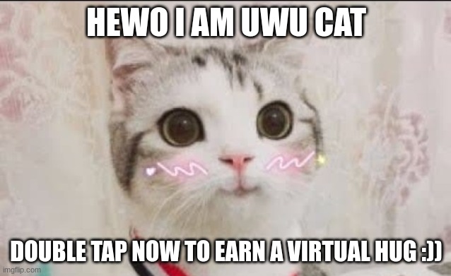 cute cat uwu | HEWO I AM UWU CAT; DOUBLE TAP NOW TO EARN A VIRTUAL HUG :)) | image tagged in cute cat uwu | made w/ Imgflip meme maker
