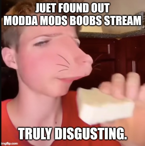 Speed Mcqueen | JUET FOUND OUT MODDA MODS BOOBS STREAM; TRULY DISGUSTING. | image tagged in speed mcqueen | made w/ Imgflip meme maker
