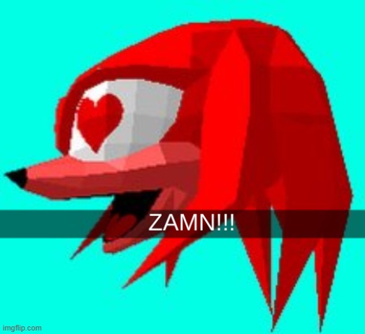 knuckles zamn | image tagged in knuckles zamn | made w/ Imgflip meme maker