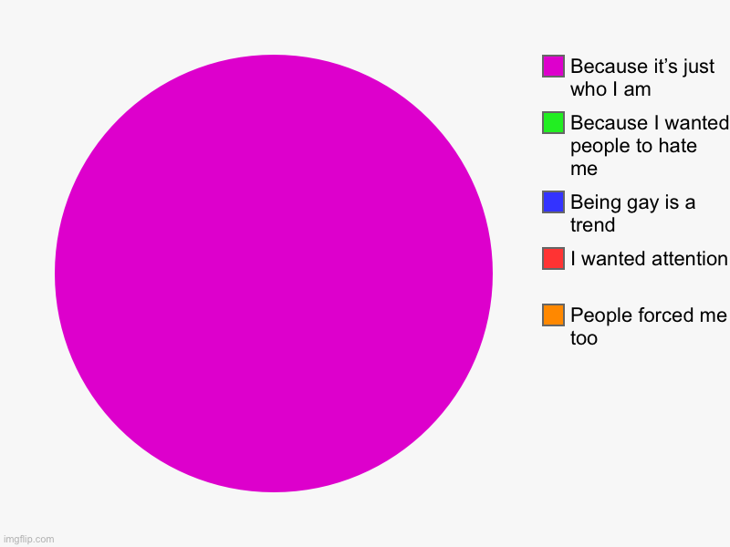 Why I am gay | People forced me too, I wanted attention , Being gay is a trend, Because I wanted people to hate me, Because it’s just who I am | image tagged in charts,pie charts | made w/ Imgflip chart maker