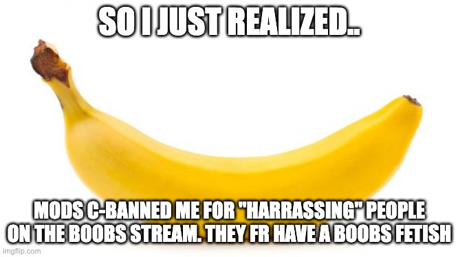 L SITEMODS | SO I JUST REALIZED.. MODS C-BANNED ME FOR "HARRASSING" PEOPLE ON THE BOOBS STREAM. THEY FR HAVE A BOOBS FETISH | image tagged in banana | made w/ Imgflip meme maker