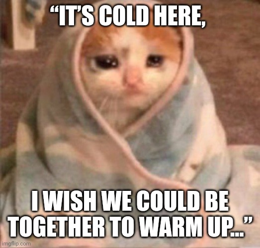 sad blanket cat | “IT’S COLD HERE, I WISH WE COULD BE TOGETHER TO WARM UP…” | image tagged in sad blanket cat | made w/ Imgflip meme maker