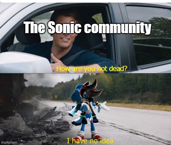 sonic how are you not dead | The Sonic community | image tagged in sonic how are you not dead | made w/ Imgflip meme maker
