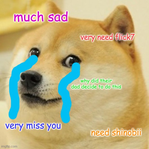 NOOOOOOOOOOOOOOOOOOOOOOOOOO WHYYYY | much sad; very need flick7; why did their dad decide to do this; very miss you; need shinobii | image tagged in memes,doge | made w/ Imgflip meme maker