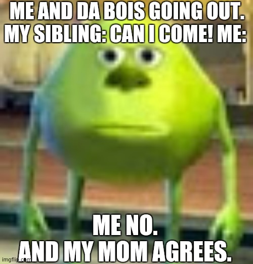 fr | ME AND DA BOIS GOING OUT. MY SIBLING: CAN I COME! ME:; ME NO. AND MY MOM AGREES. | image tagged in sully wazowski | made w/ Imgflip meme maker