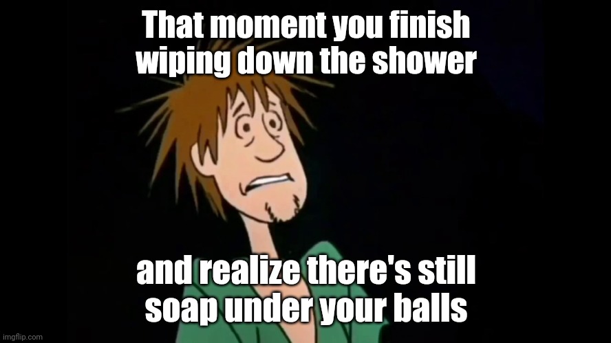 Zoinks!!! | That moment you finish
wiping down the shower; and realize there's still
soap under your balls | image tagged in zoinks,shaggy,scooby doo,soapy balls,funny memes | made w/ Imgflip meme maker