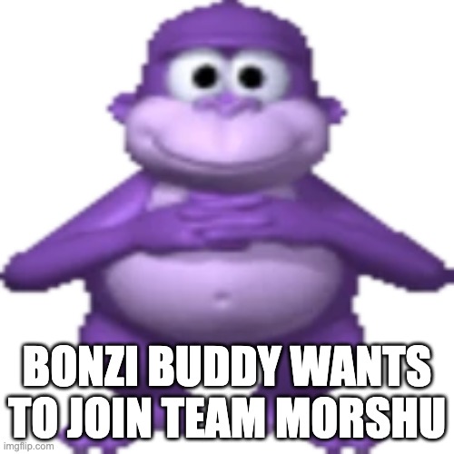 BONZI BUDDY WANTS TO JOIN TEAM MORSHU | image tagged in bonzi buddy | made w/ Imgflip meme maker