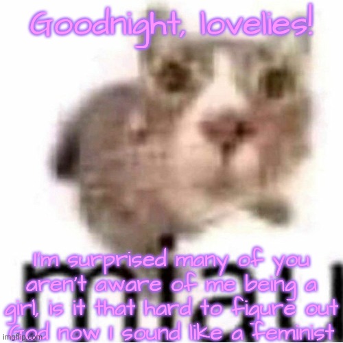 miau | Goodnight, lovelies! I'm surprised many of you aren't aware of me being a girl, is it that hard to figure out
God now I sound like a feminist | image tagged in miau,lovelies | made w/ Imgflip meme maker