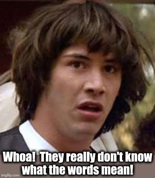 whoa | Whoa!  They really don't know
what the words mean! | image tagged in whoa | made w/ Imgflip meme maker