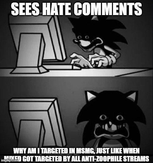 the only Supported Allies, Turned to Traitorism, Send SOS. | SEES HATE COMMENTS; WHY AM I TARGETED IN MSMG, JUST LIKE WHEN MIXED GOT TARGETED BY ALL ANTI-ZOOPHILE STREAMS | image tagged in sonic looks at computer and regrets | made w/ Imgflip meme maker