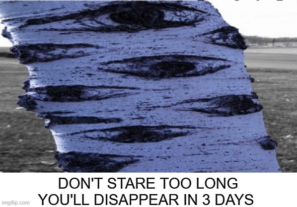 . | DON'T STARE TOO LONG
YOU'LL DISAPPEAR IN 3 DAYS | made w/ Imgflip meme maker