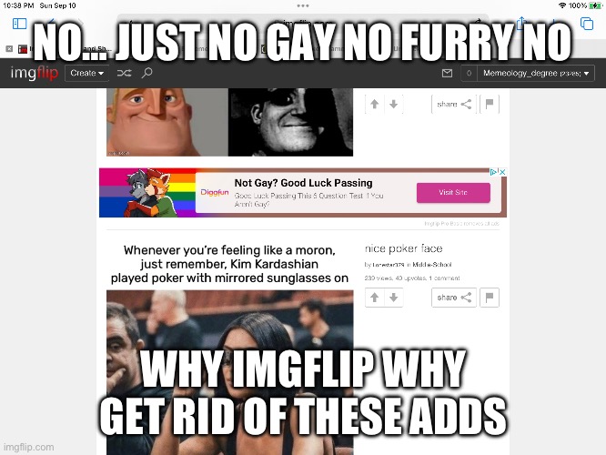 No… | NO… JUST NO GAY NO FURRY NO; WHY IMGFLIP WHY GET RID OF THESE ADDS | image tagged in one does not simply | made w/ Imgflip meme maker