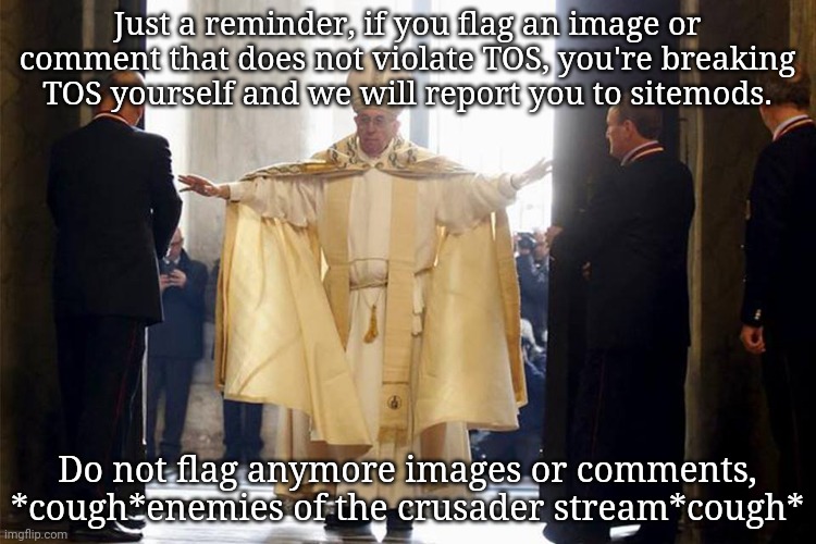 This will be a official warning, all flags will be screenshotted and given to sitemods. I'm not dealing with your crap. | Just a reminder, if you flag an image or comment that does not violate TOS, you're breaking TOS yourself and we will report you to sitemods. Do not flag anymore images or comments, *cough*enemies of the crusader stream*cough* | image tagged in mighty pope francis | made w/ Imgflip meme maker