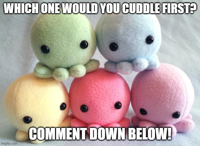 Some cute lil guys | WHICH ONE WOULD YOU CUDDLE FIRST? COMMENT DOWN BELOW! | image tagged in octopus,plush,cute | made w/ Imgflip meme maker