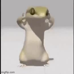Lizard Clapping Dancing Lizard - Imgflip