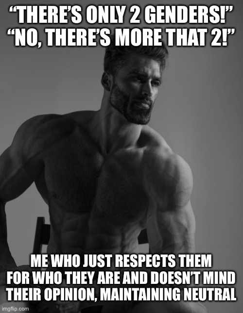 Giga Chad | “THERE’S ONLY 2 GENDERS!”
“NO, THERE’S MORE THAT 2!”; ME WHO JUST RESPECTS THEM FOR WHO THEY ARE AND DOESN’T MIND THEIR OPINION, MAINTAINING NEUTRAL | image tagged in giga chad | made w/ Imgflip meme maker