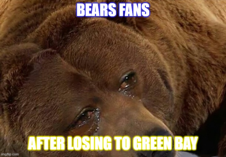Bears fans | BEARS FANS; AFTER LOSING TO GREEN BAY | image tagged in bears fans after losing to green bay,sports,nfl football,green bay packers,green bay | made w/ Imgflip meme maker
