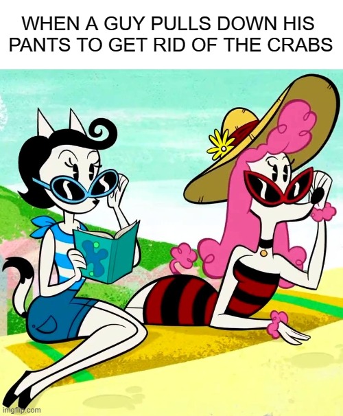 . | WHEN A GUY PULLS DOWN HIS 
PANTS TO GET RID OF THE CRABS | made w/ Imgflip meme maker