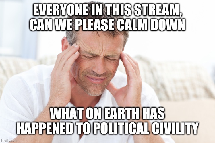 Let’s all take a moment to reflect | EVERYONE IN THIS STREAM, CAN WE PLEASE CALM DOWN; WHAT ON EARTH HAS HAPPENED TO POLITICAL CIVILITY | image tagged in headache,psa,politics,chill out | made w/ Imgflip meme maker