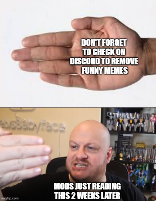 . | DON'T FORGET 
TO CHECK ON 
DISCORD TO REMOVE 
FUNNY MEMES; MODS JUST READING THIS 2 WEEKS LATER | image tagged in we can't see our own f 5ing reflection | made w/ Imgflip meme maker