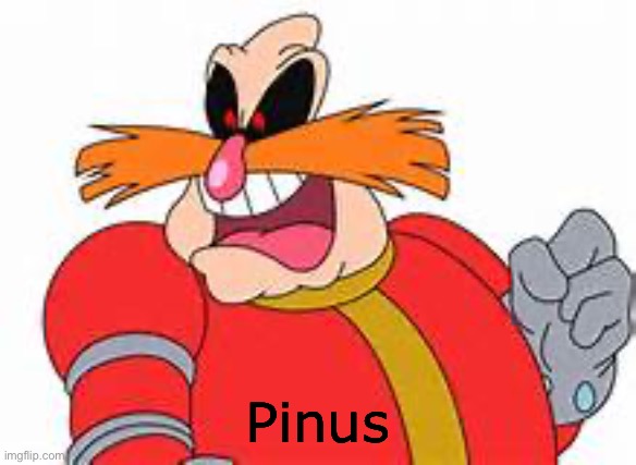 PINGAS | Pinus | image tagged in pingas | made w/ Imgflip meme maker