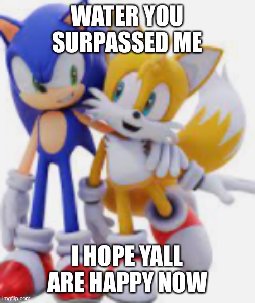 Sonic and Tails | WATER YOU SURPASSED ME; I HOPE YALL ARE HAPPY NOW | image tagged in sonic and tails | made w/ Imgflip meme maker