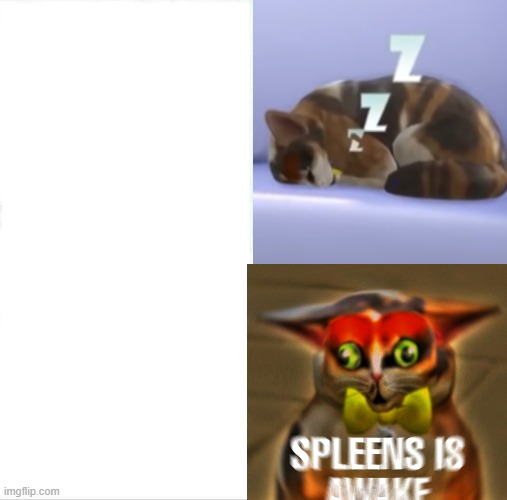 High Quality I sleep real shit spleens Blank Meme Template