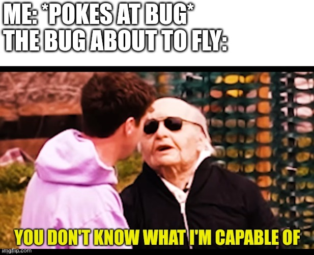 It was funnier in my head | ME: *POKES AT BUG*
THE BUG ABOUT TO FLY: | image tagged in bug | made w/ Imgflip meme maker