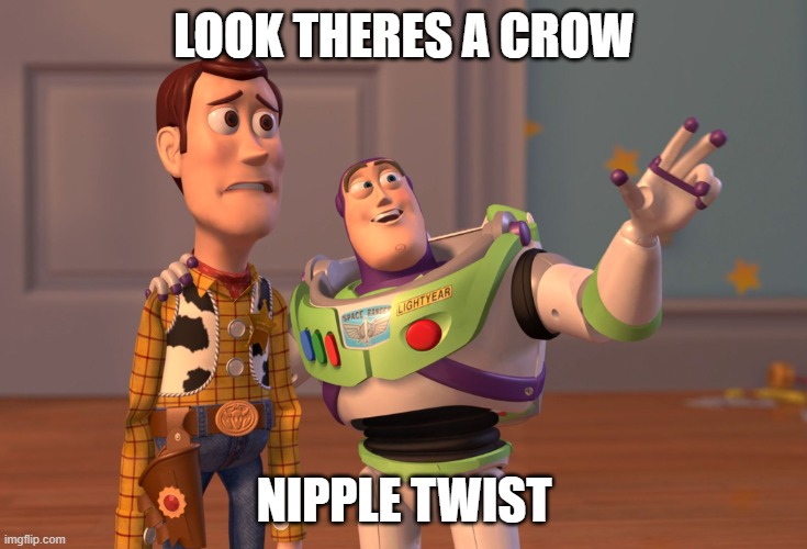 X, X Everywhere Meme | LOOK THERES A CROW; NIPPLE TWIST | image tagged in memes,x x everywhere | made w/ Imgflip meme maker