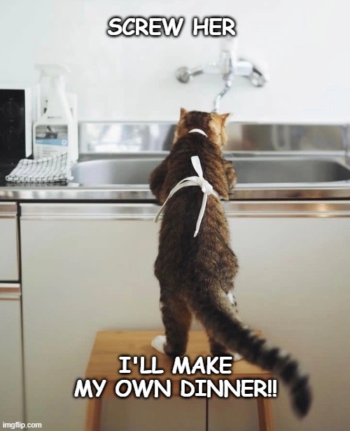 Dinner Time | SCREW HER; I'LL MAKE MY OWN DINNER!! | image tagged in cats,cute cat,funny cat memes,cat memes,smart cat | made w/ Imgflip meme maker