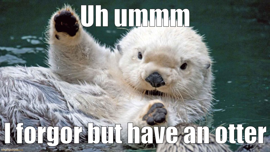 Hold up- | Uh ummm; I forgor but have an otter | image tagged in hold up- | made w/ Imgflip meme maker