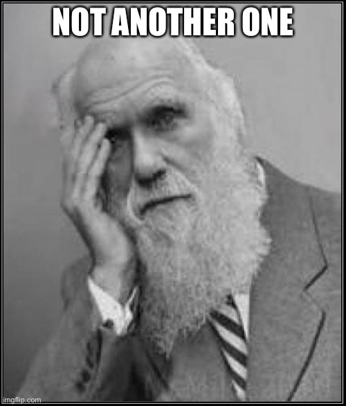 darwin facepalm | NOT ANOTHER ONE | image tagged in darwin facepalm | made w/ Imgflip meme maker
