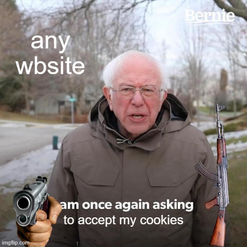 Bernie I Am Once Again Asking For Your Support Meme | any wbsite; to accept my cookies | image tagged in memes,bernie i am once again asking for your support | made w/ Imgflip meme maker