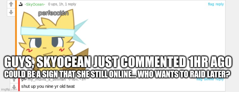 GUYS, SKYOCEAN JUST COMMENTED 1HR AGO; COULD BE A SIGN THAT SHE STILL ONLINE... WHO WANTS TO RAID LATER? | made w/ Imgflip meme maker