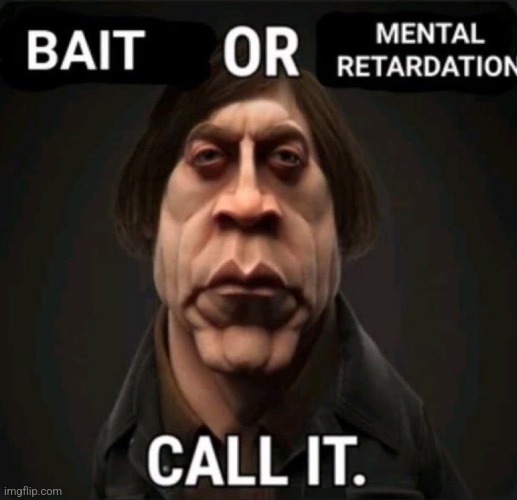 bait or mental retardation | image tagged in bait or mental retardation | made w/ Imgflip meme maker