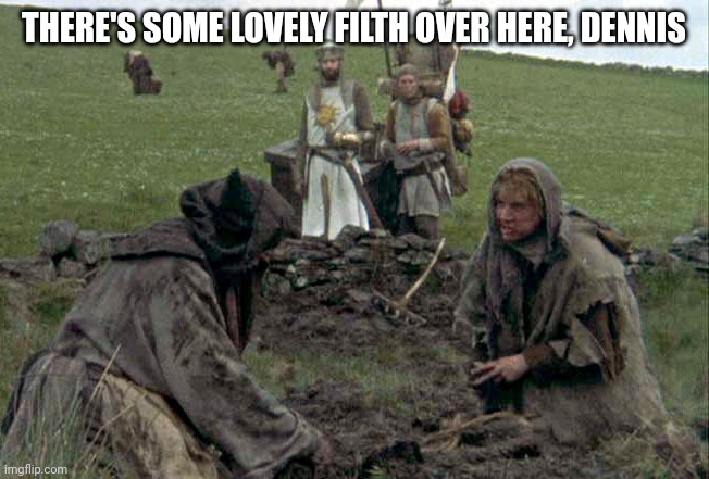 monty python holy grail | THERE'S SOME LOVELY FILTH OVER HERE, DENNIS | image tagged in monty python holy grail | made w/ Imgflip meme maker