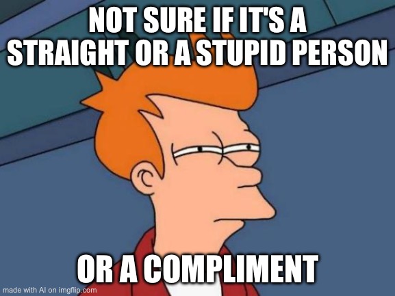 Futurama Fry | NOT SURE IF IT'S A STRAIGHT OR A STUPID PERSON; OR A COMPLIMENT | image tagged in memes,futurama fry | made w/ Imgflip meme maker